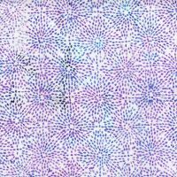 ttTonga-B2739 AMETHYST